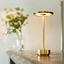 Afbeelding in Gallery-weergave laden, EcoLume - Luxe designlamp nieuw gedefinieerd ontwerp
