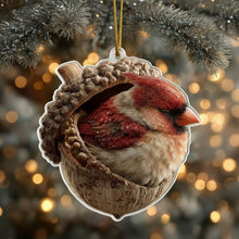 Afbeelding in Gallery-weergave laden, Acorn Dreams
