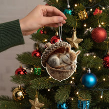 Afbeelding in Gallery-weergave laden, Acorn Dreams
