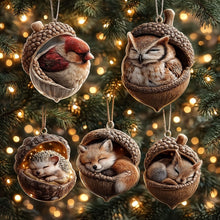 Afbeelding in Gallery-weergave laden, Acorn Dreams
