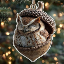 Afbeelding in Gallery-weergave laden, Acorn Dreams
